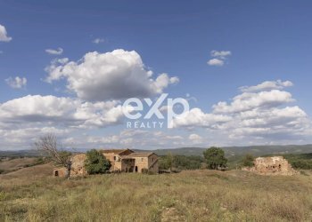 Azienda agricola Asciano - foto 16