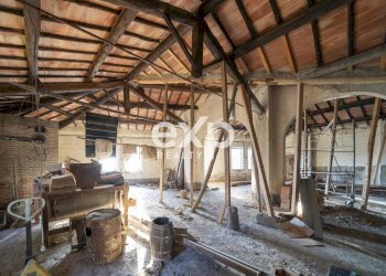 Azienda agricola Asciano - foto 18