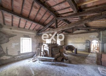 Azienda agricola Asciano - foto 19