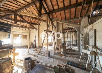 Azienda agricola Asciano - foto 21