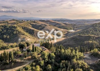 Azienda agricola Asciano - foto 23