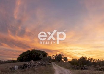 Azienda agricola Asciano - foto 24