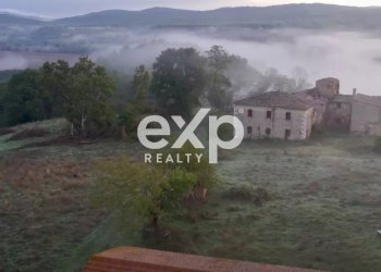 Azienda agricola Asciano - foto 27