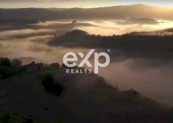 Azienda agricola Asciano - foto 30