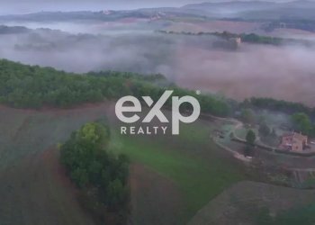 Azienda agricola Asciano - foto 31