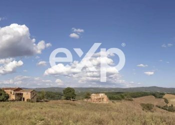 Farm Asciano - photo 25