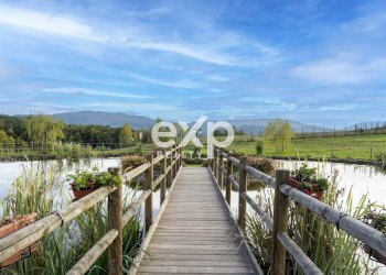 Laghetto privato - Villa Vicchio - foto 31