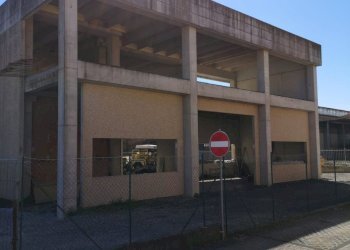 Capannone Parma - foto 3