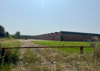 Capannone Sorbolo Mezzani - foto 1