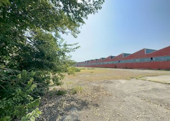 Capannone Sorbolo Mezzani - foto 4