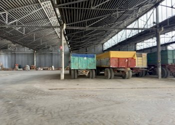 Capannone Sorbolo Mezzani - foto 8