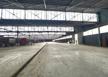 Capannone Sorbolo Mezzani - foto 10