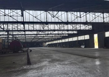 Capannone Sorbolo Mezzani - foto 12