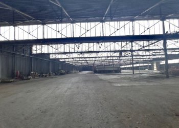 Capannone Sorbolo Mezzani - foto 15