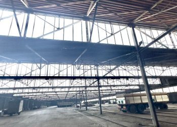 Capannone Sorbolo Mezzani - foto 18