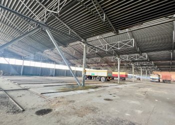 Capannone Sorbolo Mezzani - foto 21