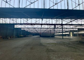 Capannone Sorbolo Mezzani - foto 23