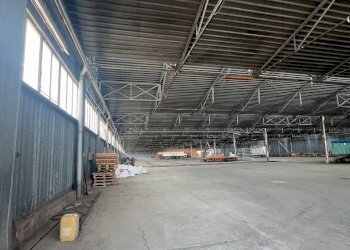 Capannone Sorbolo Mezzani - foto 27