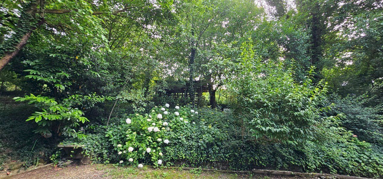 Villa Unifamiliare Sasso Marconi - foto 2