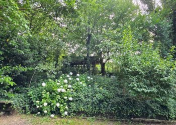 Villa Unifamiliare Sasso Marconi - foto 2