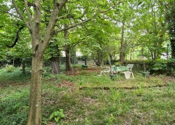 Villa Unifamiliare Sasso Marconi - foto 5