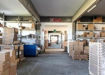 Capannone Monsummano Terme - foto 3