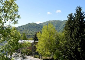 Vista - Trilocale Montaldo di Mondovì - foto 9