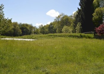 Vista - Trilocale Montaldo di Mondovì - foto 18