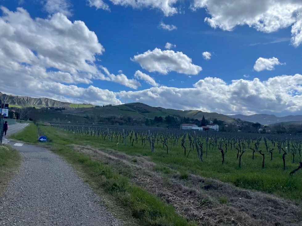 Terreno agricolo Imola - foto 1