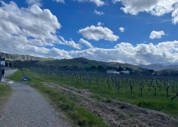 Terreno agricolo Imola - foto 1