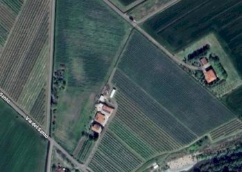 Terreno agricolo Imola - foto 3