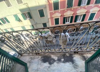 Appartamento Via Canevari, Genova (zona Marassi) - foto 9