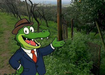 Casale Via Cupa Vicinale Cupa Cintia, Napoli (zona Soccavo) - foto 1