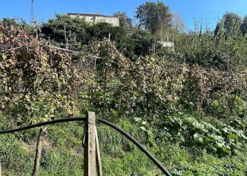 Casale Via Cupa Vicinale Cupa Cintia, Napoli (zona Soccavo) - foto 2