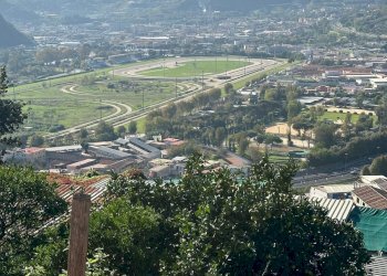 Casale Via Cupa Vicinale Cupa Cintia, Napoli (zona Soccavo) - foto 8