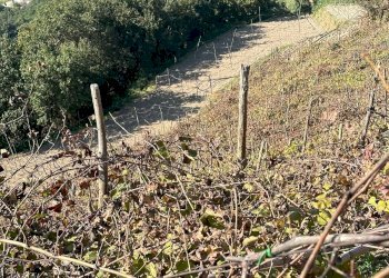 Casale Via Cupa Vicinale Cupa Cintia, Napoli (zona Soccavo) - foto 11