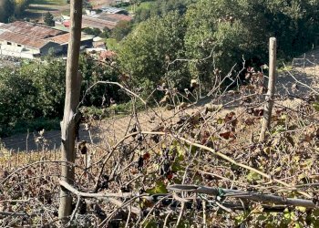 Casale Via Cupa Vicinale Cupa Cintia, Napoli (zona Soccavo) - foto 12