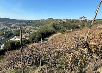 Casale Via Cupa Vicinale Cupa Cintia, Napoli (zona Soccavo) - foto 13