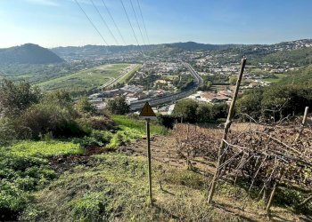 Casale Via Cupa Vicinale Cupa Cintia, Napoli (zona Soccavo) - foto 14
