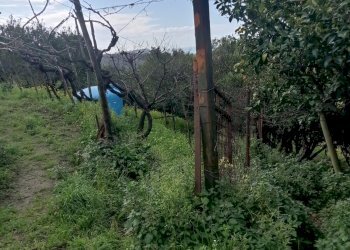 Casale Via Cupa Vicinale Cupa Cintia, Napoli (zona Soccavo) - foto 28