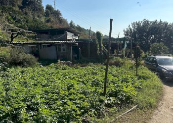 Casale Via Cupa Vicinale Cupa Cintia, Napoli (zona Soccavo) - foto 29