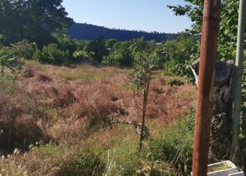 Terreno agricolo via pietrarsa, Pozzuoli - foto 3