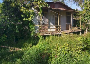 Terreno agricolo via pietrarsa, Pozzuoli - foto 7