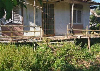 Terreno agricolo via pietrarsa, Pozzuoli - foto 8