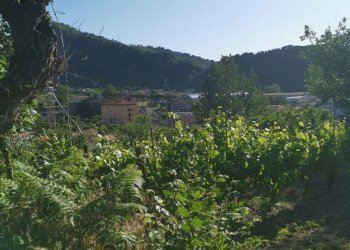 Terreno agricolo via pietrarsa, Pozzuoli - foto 12