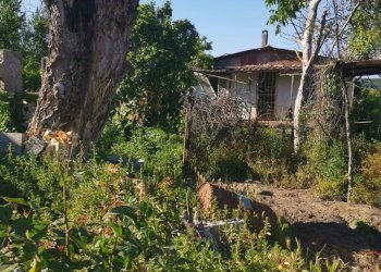 Terreno agricolo via pietrarsa, Pozzuoli - foto 13