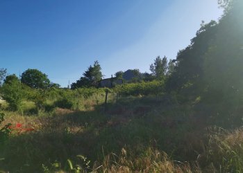 Terreno agricolo via pietrarsa, Pozzuoli - foto 19