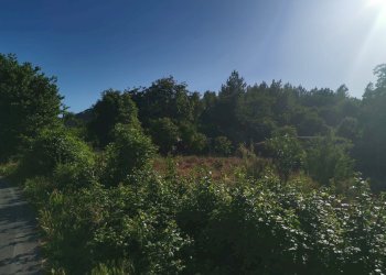 Terreno agricolo via pietrarsa, Pozzuoli - foto 20