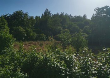 Terreno agricolo via pietrarsa, Pozzuoli - foto 21