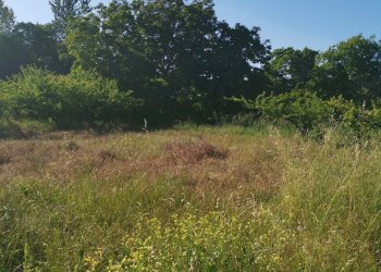 Terreno agricolo via pietrarsa, Pozzuoli - foto 25